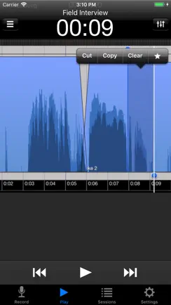 Hindenburg Field Recorder Lite iPhone image 2