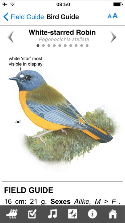 Roberts VII Multimedia Birds of Southern Africa screenshot-3