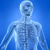 Learn Skeletal System App Support