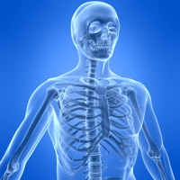 Learn Skeletal System logo