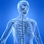 Learn Skeletal System app download