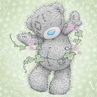 Me To You Secret Garden app icon - Stickers app for iPhone