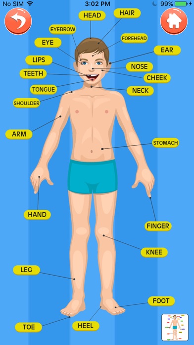 Screenshot #3 pour Learn about Body Parts