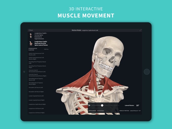 Complete Anatomy 2024 iPad app afbeelding 4