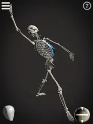 skelly - art model ipad images 3