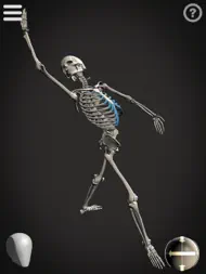 Skelly - Art Model ipad bilder 2