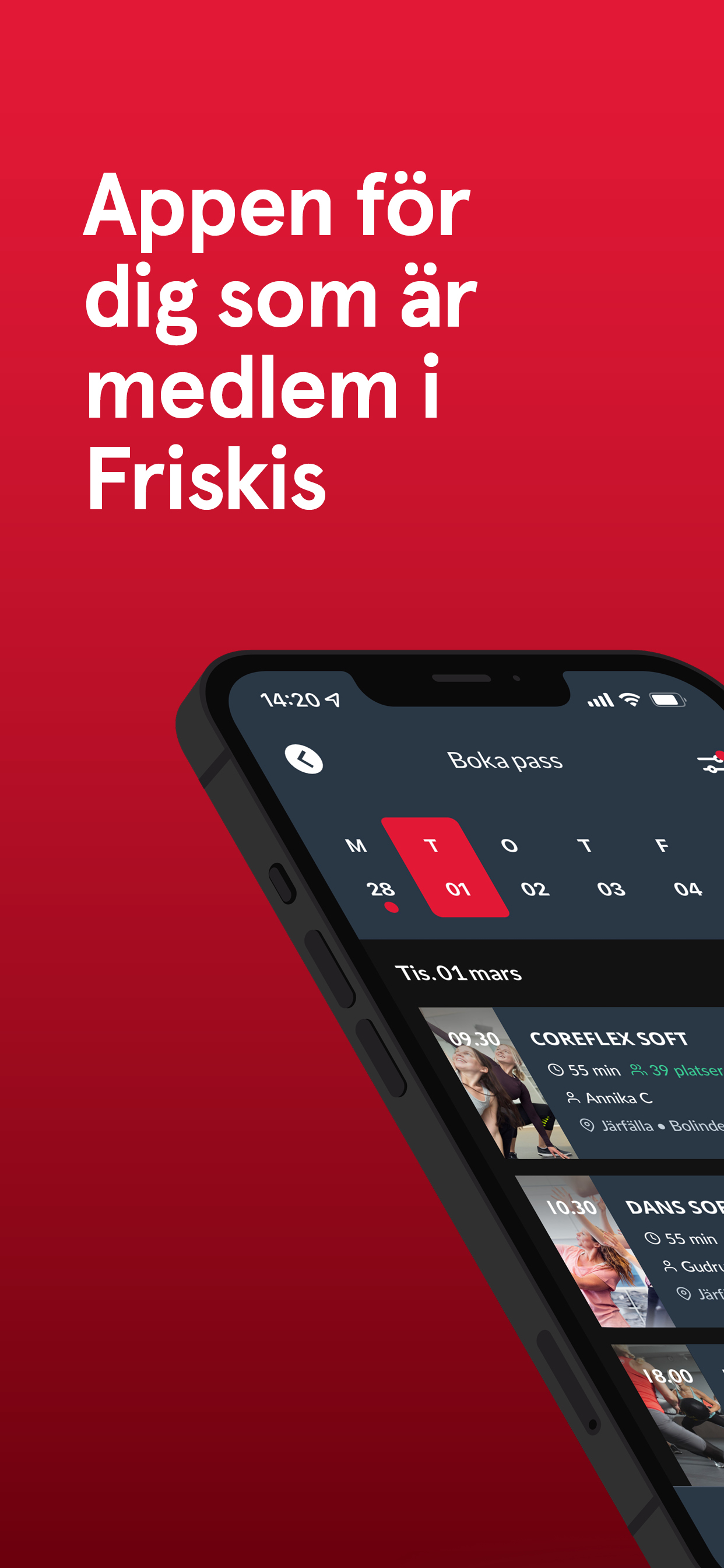 Mitt Friskis