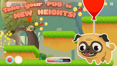 Pug Run Screenshot 3