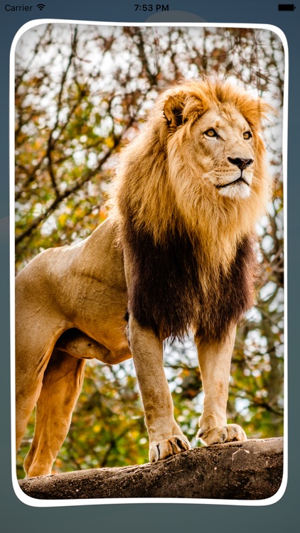 Туган Тел screenshot-3