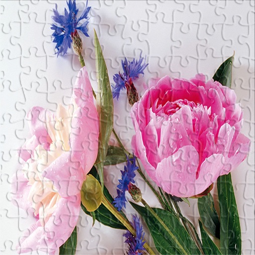 Flowers Jigsaw Puzzle For Kids 4 Year icon