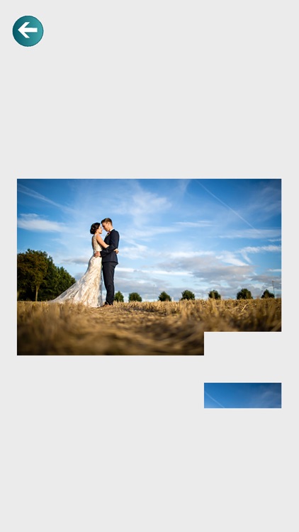 One Little Daisy Photography