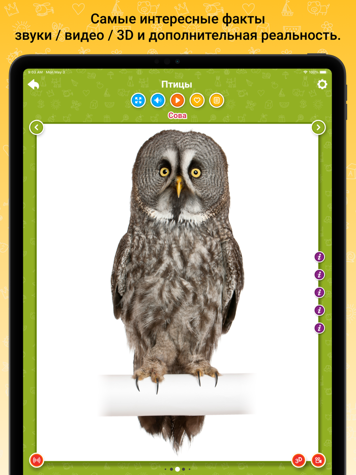 Kidademia - детское развитие