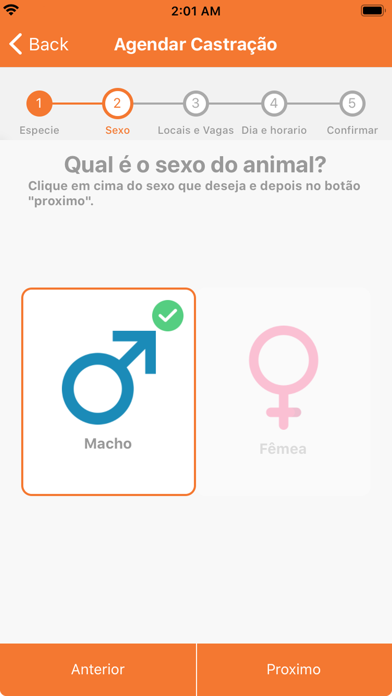 Niterói Animal Screenshot