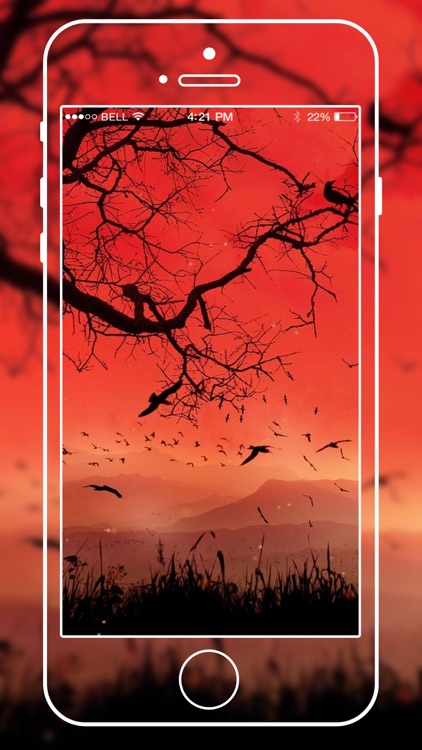 Nature HD Walllpapers screenshot-3