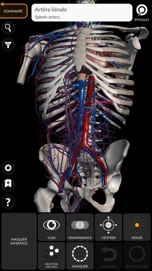 Capture d'écran de Anatomie - Atlas 3D sur iPhone 3