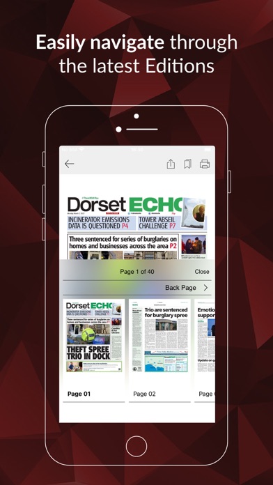 Dorset Echo Screenshot