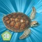 Sea Turtle Simulator 3D - Ocean Adventure