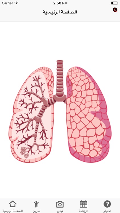 Asthma Assessment