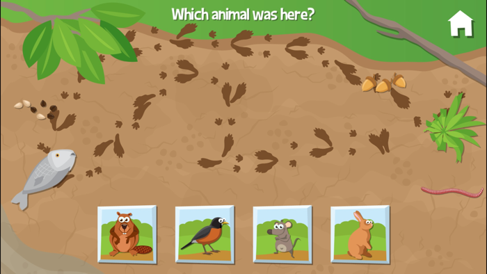 Camping With Grandpa