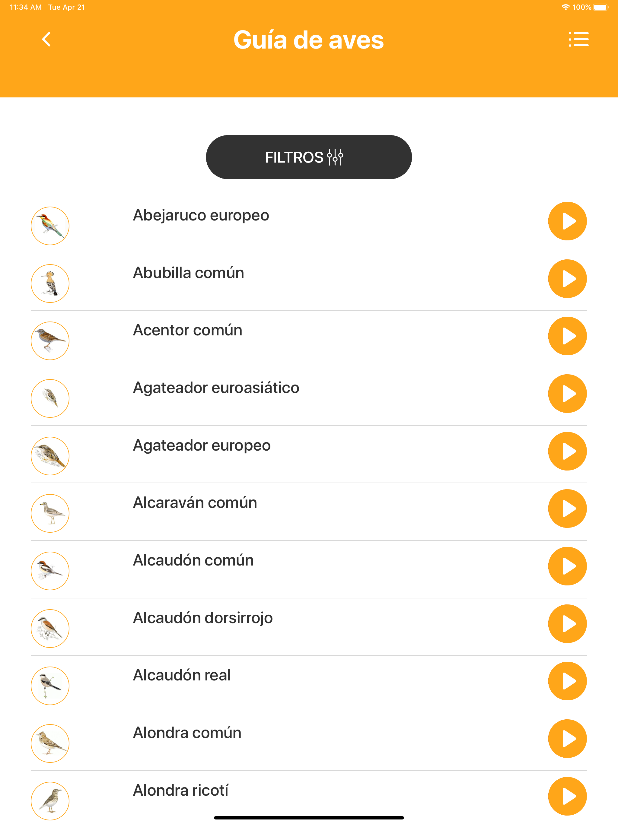 Avefy - SEOBirdlife