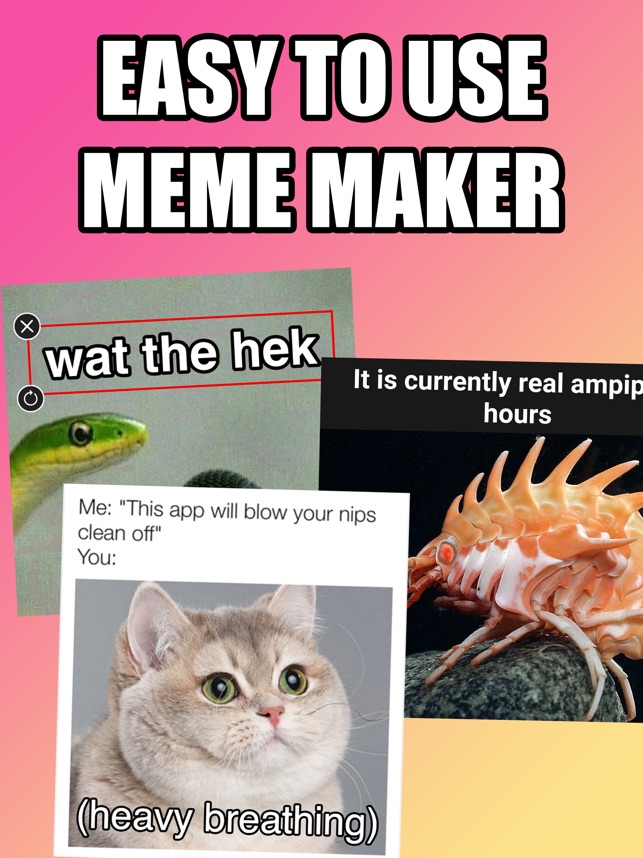 Dopameme: Meme Maker Memes na App Store