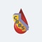 The California Blood Bank Society is excited to offer the CBBS Events App for this year's conferences