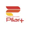 Pilar Mais App Delete