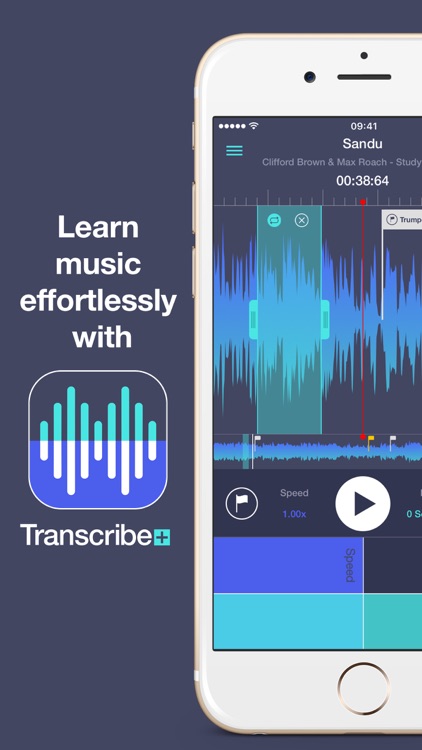 Transcribe+ screenshot-0