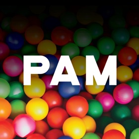 螢幕擷取畫面 (10) PAM - Guest Check