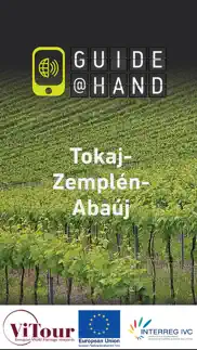 tokaj guide@hand problems & solutions and troubleshooting guide - 1