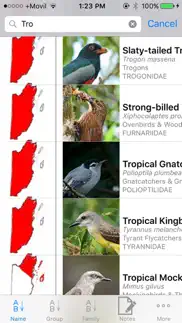 belize birds field guide iphone screenshot 4