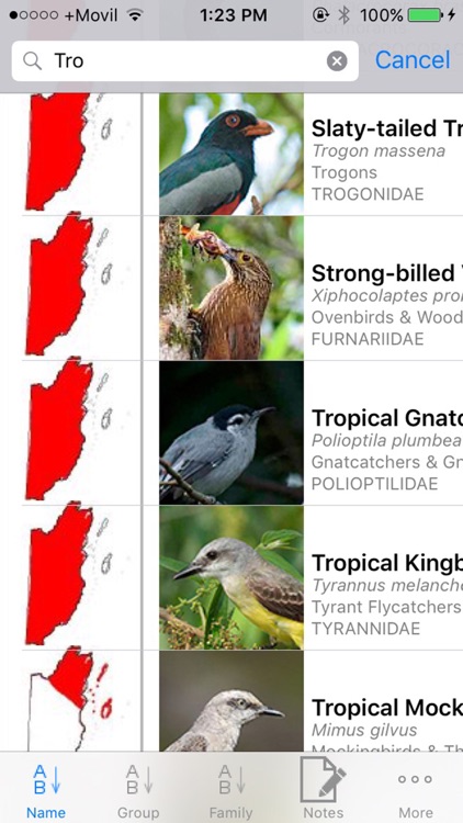 Belize Birds Field Guide screenshot-3