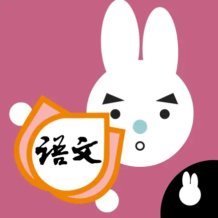 Rabbit literacy 2B:Chinese Cheats