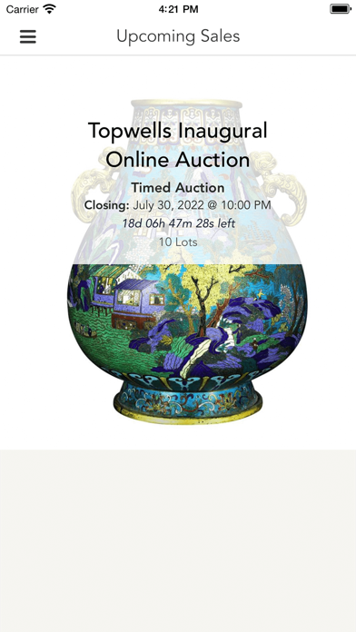 Topwells Auction Screenshot