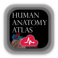 Human Anatomy Atlas +