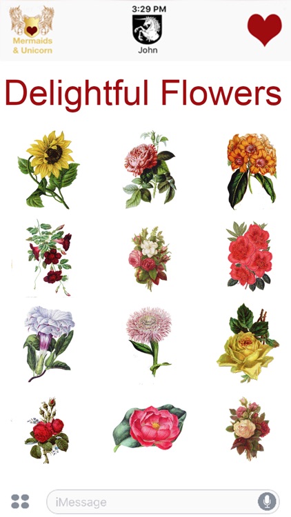 Delightful Flowers