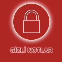 Gizli Notlar