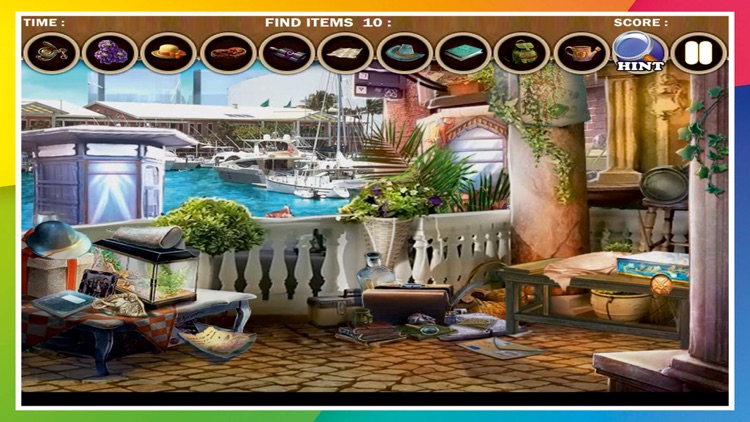 Cleaning Assistant 2  Pro