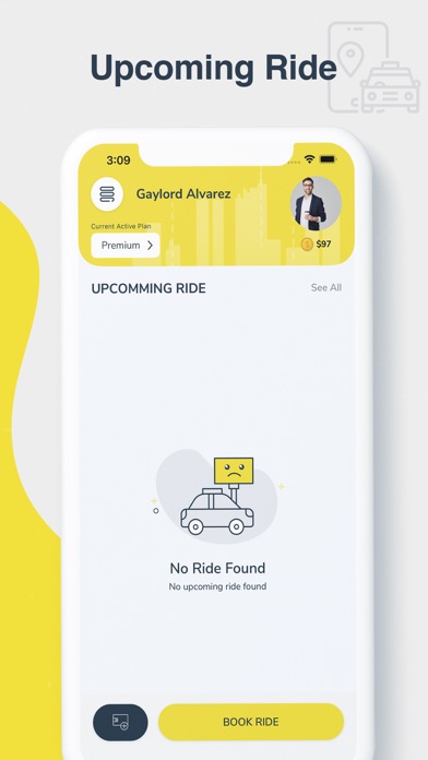 Cheaper Ride Screenshot