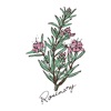 豊中市のお家サロン RoseMary