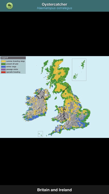 Birds of Britain & Ireland screenshot-4