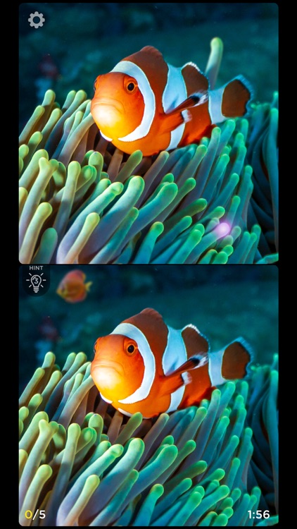 Spot The Difference: Fashion