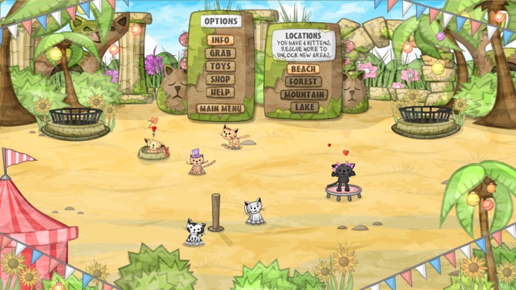 Kitten Sanctuary