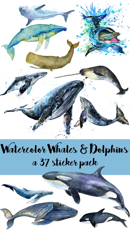 Watercolor Whales and Dolphins Ocean Sticker Pack