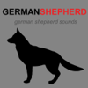 German Shepherd Sounds & Dog Barking Sounds - Joel Bowers