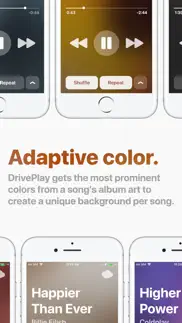 driveplay iphone screenshot 4