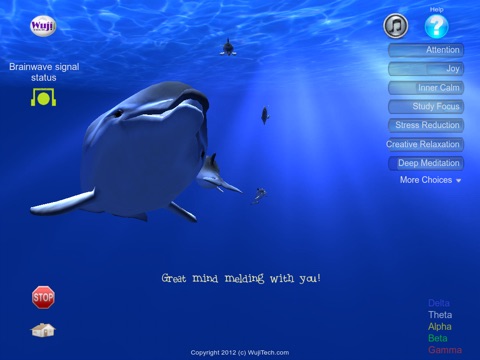 WujiBrainWave screenshot 2