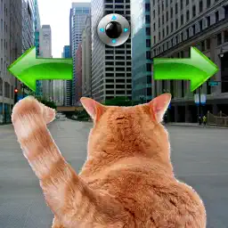 Cat In City Go Simulator app icon