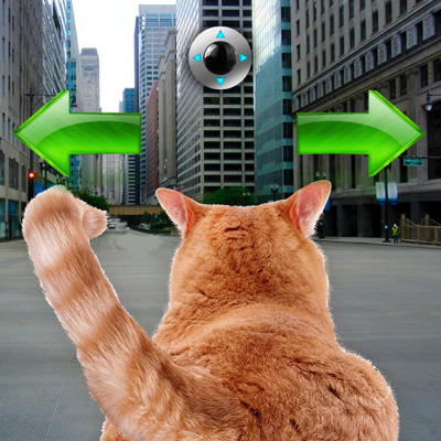 Cat In City Go Simulator