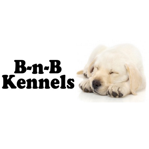 bnb kennels